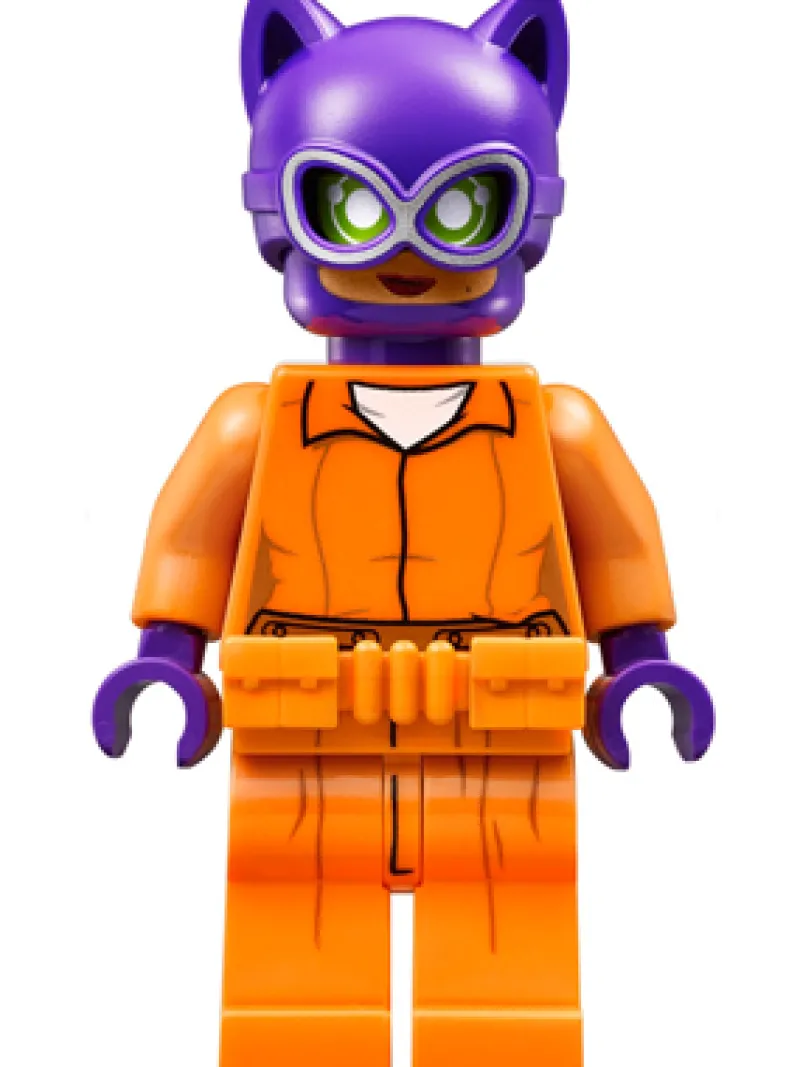 Dc Comics>The Brick Show Shop Catwoman (LEGO Batman Movie, Prison Outfit) - LEGO DC Comics Minifigur
